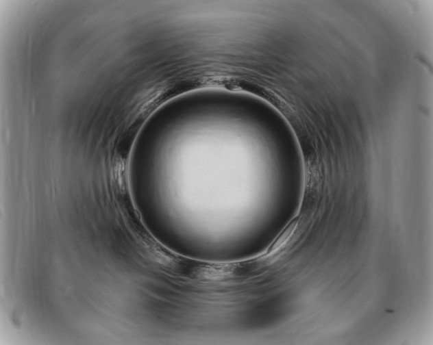 X0000091310094200708171426