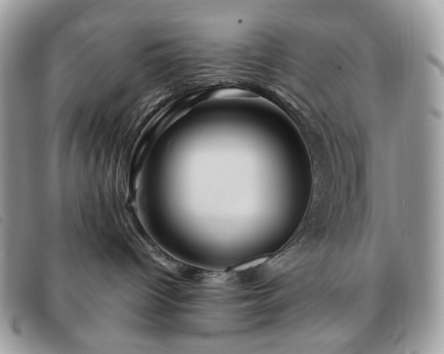 X0000091310096200708171426