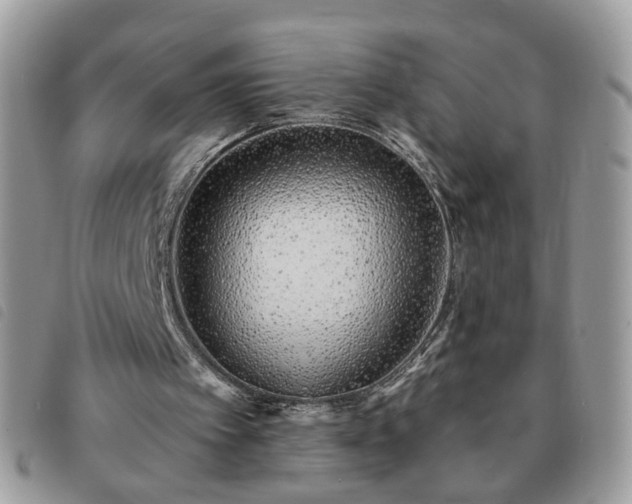 X0000091310097200708171425