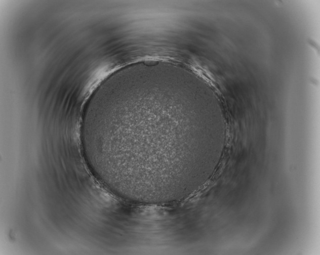 X0000091310098200708171425