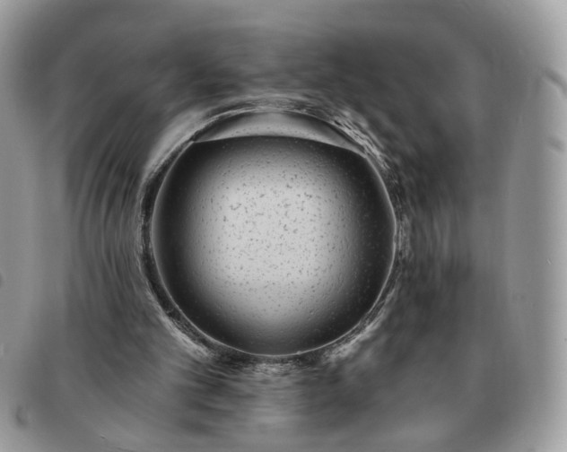 X0000091310101200708171425