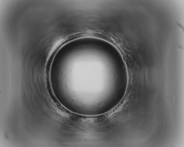 X0000091310102200708171425