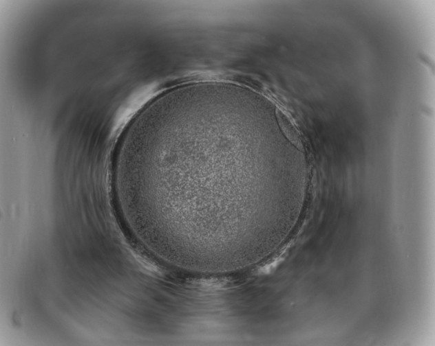 X0000091310103200708171425