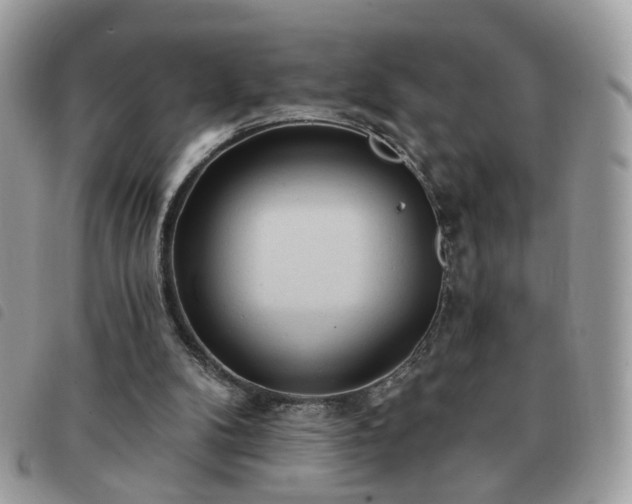 X0000091310104200708171425