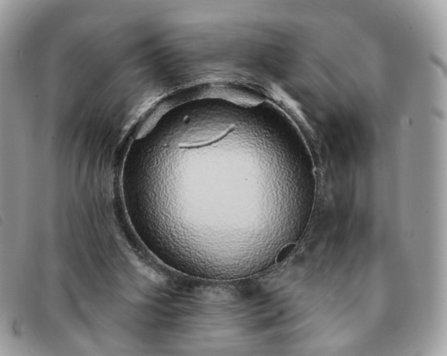 X0000091310106200708171425