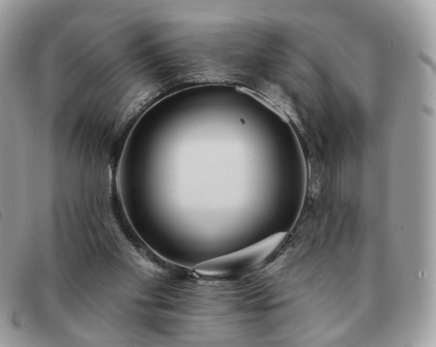 X0000091310109200708171425