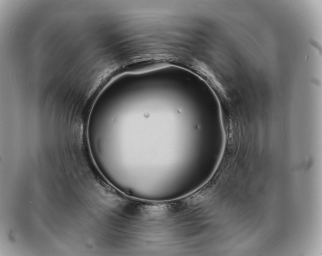 X0000091310110200708171425