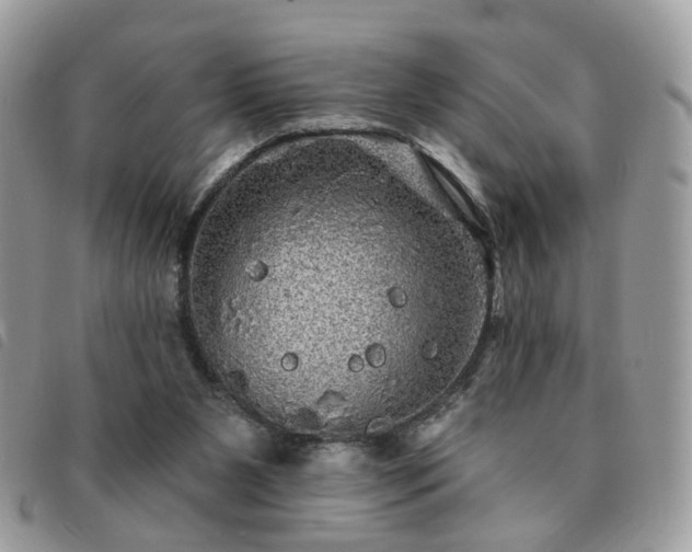 X0000091310111200708171425