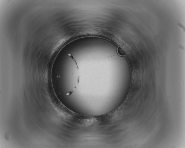 X0000091310112200708171425