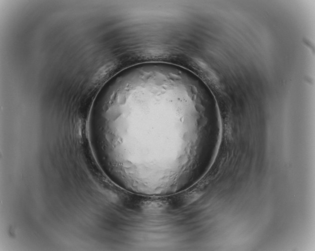 X0000091310115200708171425