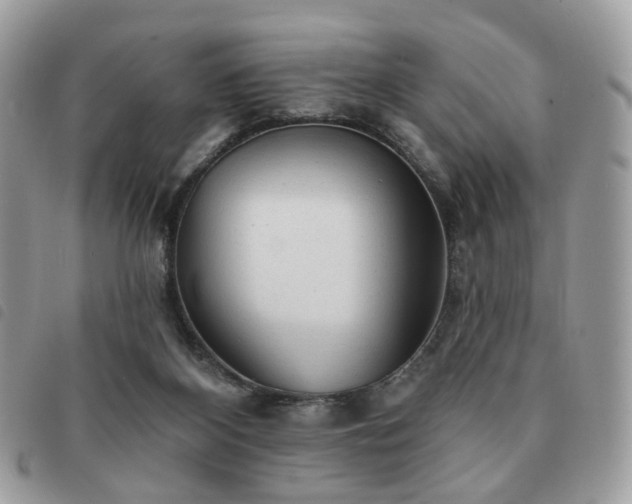 X0000091310116200708171425