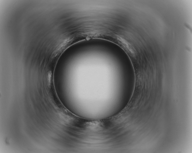 X0000091310118200708171425