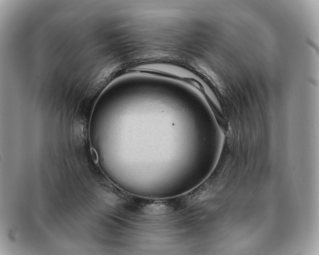 X0000091310119200708171425