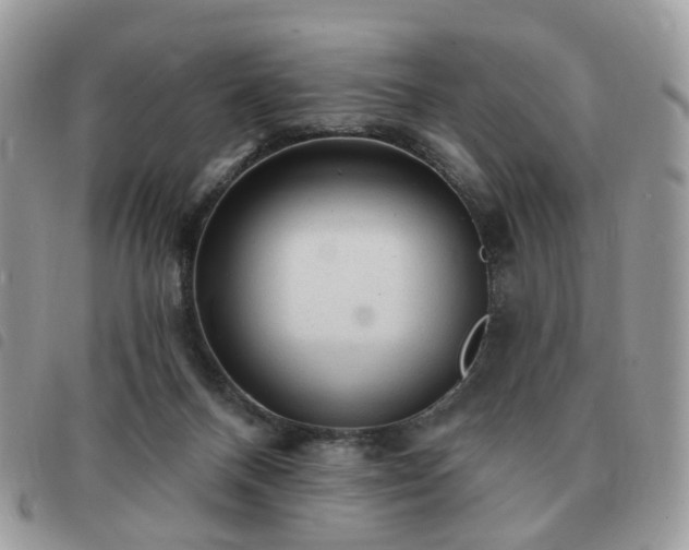 X0000091310120200708171425