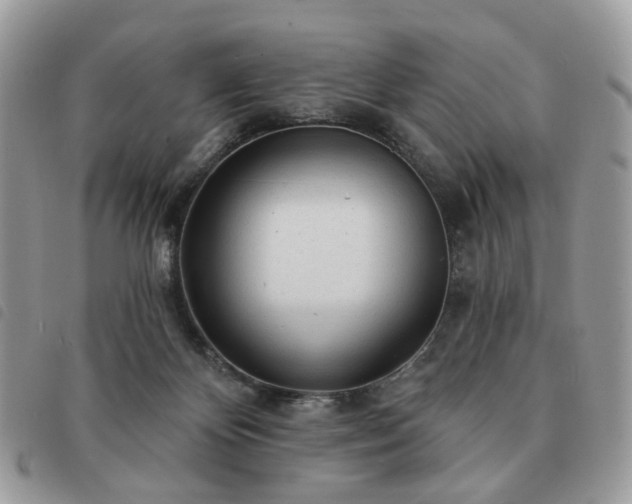 X0000091310124200708171425