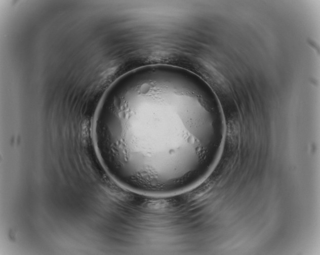 X0000091310127200708171425