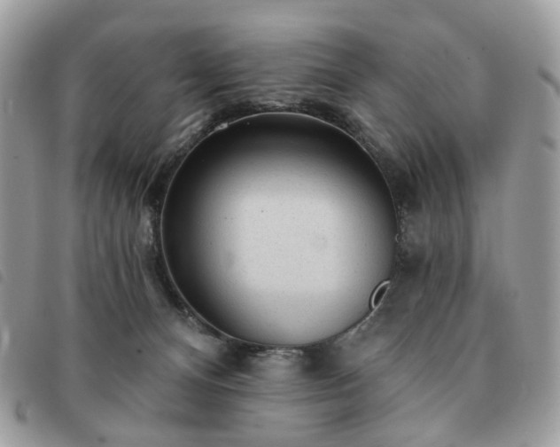 X0000091310128200708171425