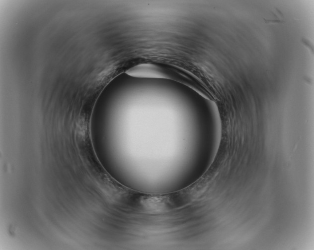 X0000091310129200708171425