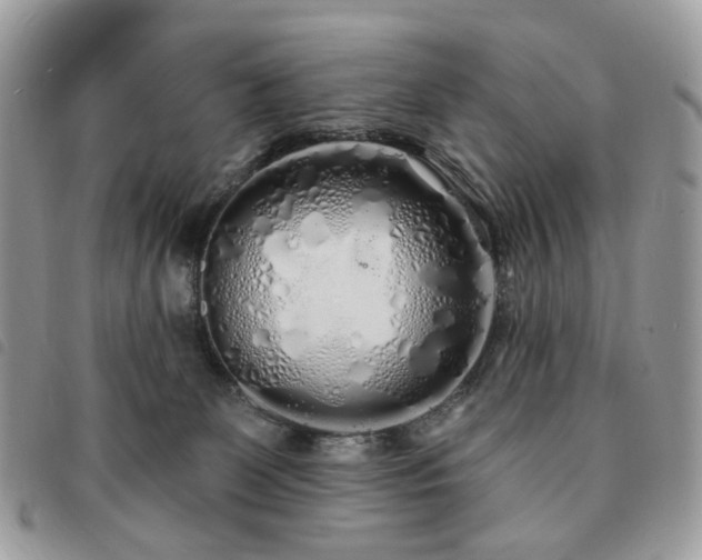 X0000091310131200708171425