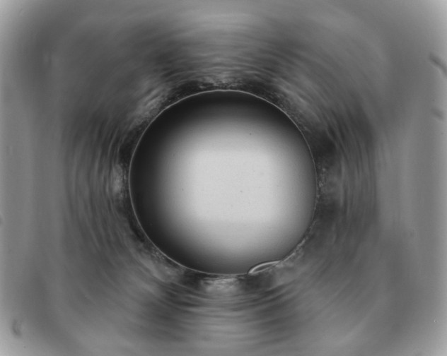 X0000091310132200708171425