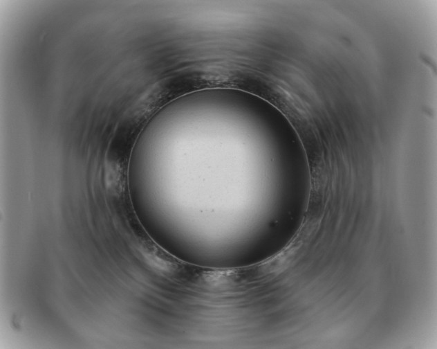 X0000091310136200708171425