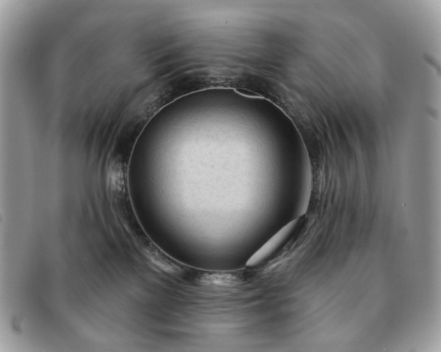 X0000091310137200708171425