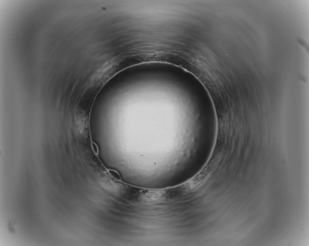 X0000091310138200708171425