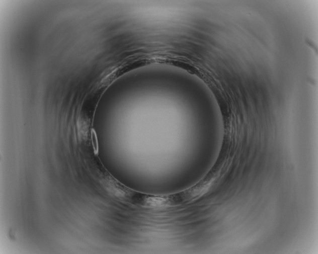 X0000091310139200708171425