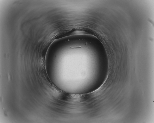 X0000091310144200708171425