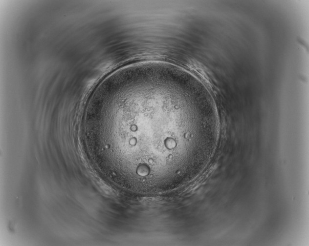 X0000091310145200708171424