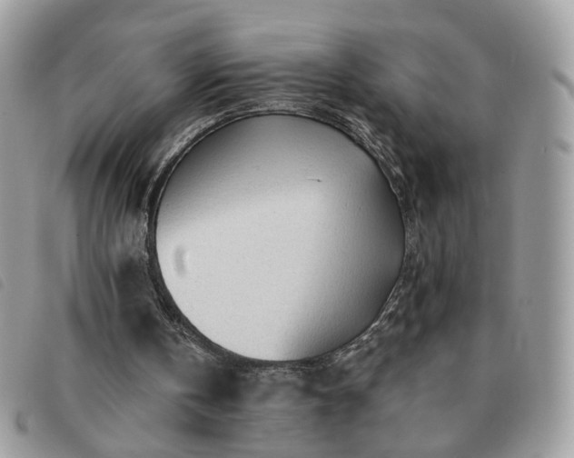 X0000091310146200708171424