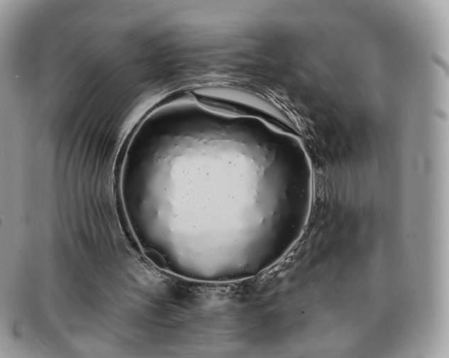 X0000091310147200708171424