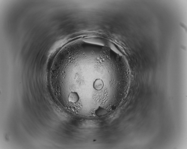 X0000091310149200708171424