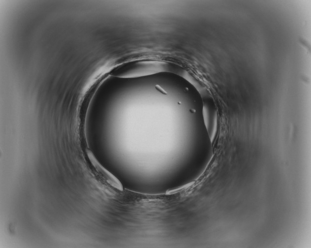 X0000091310150200708171424