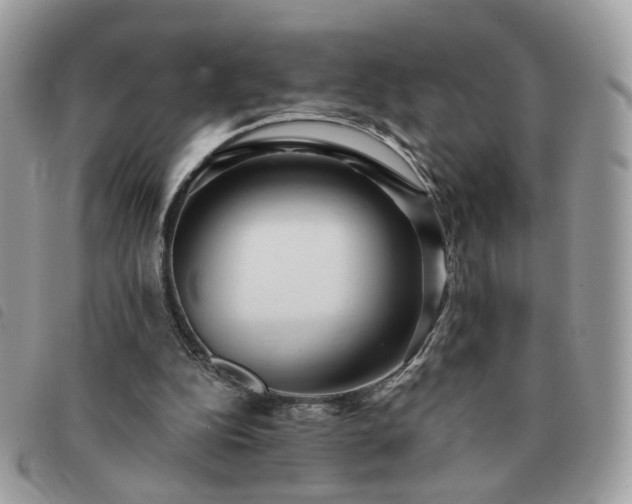 X0000091310152200708171424