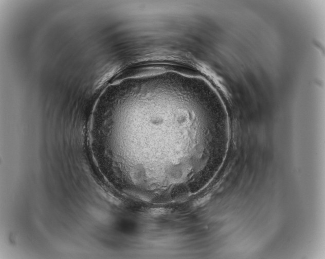 X0000091310153200708171424