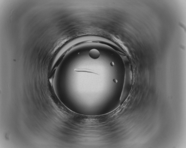 X0000091310154200708171424