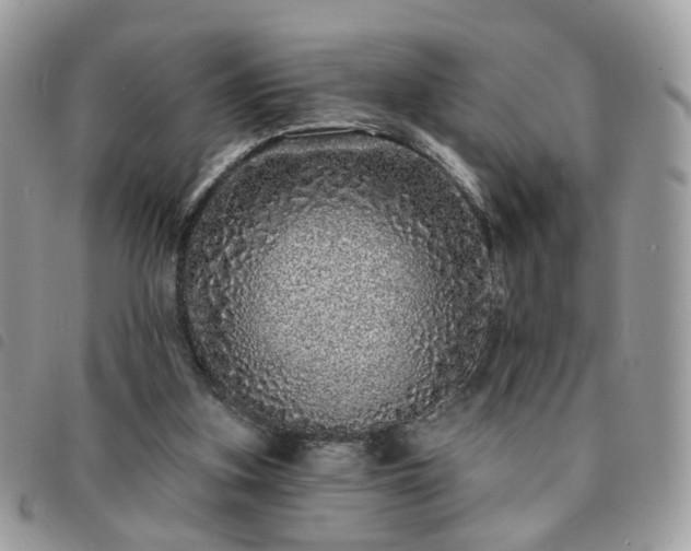 X0000091310155200708171424