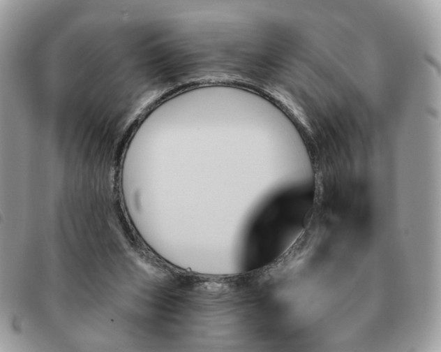 X0000091310159200708171424