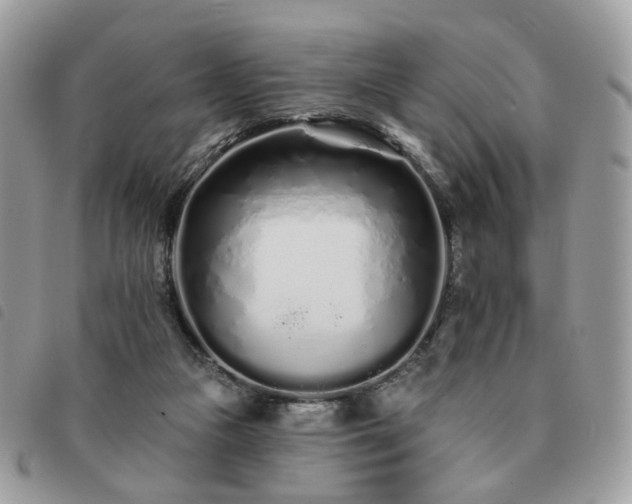 X0000091310161200708171424