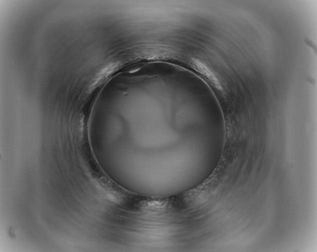 X0000091310163200708171424