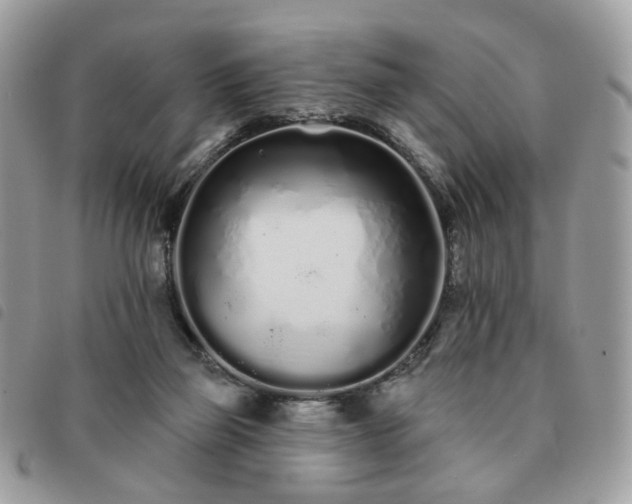 X0000091310165200708171424