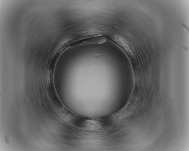 X0000091310167200708171424