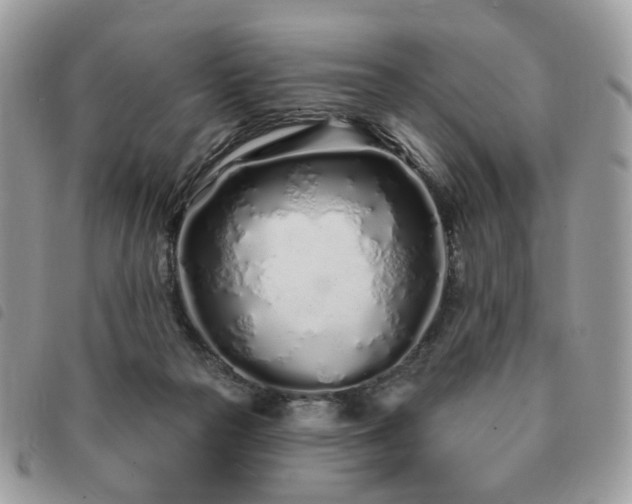 X0000091310169200708171424