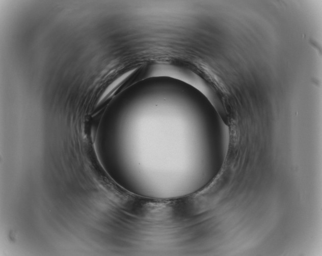 X0000091310170200708171424