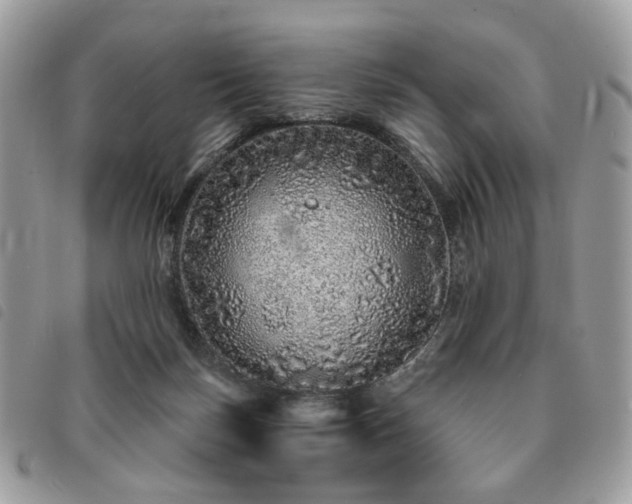 X0000091310171200708171424