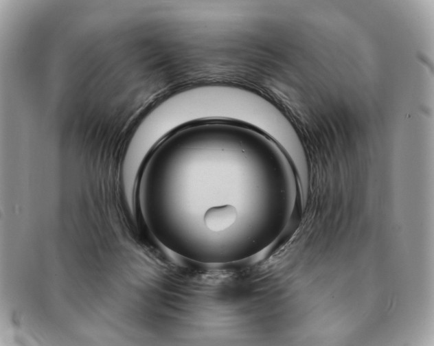 X0000091310172200708171424