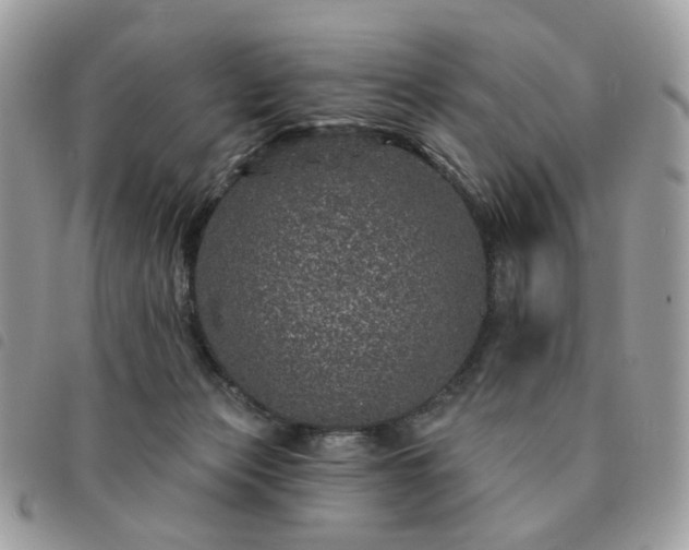 X0000091310173200708171424