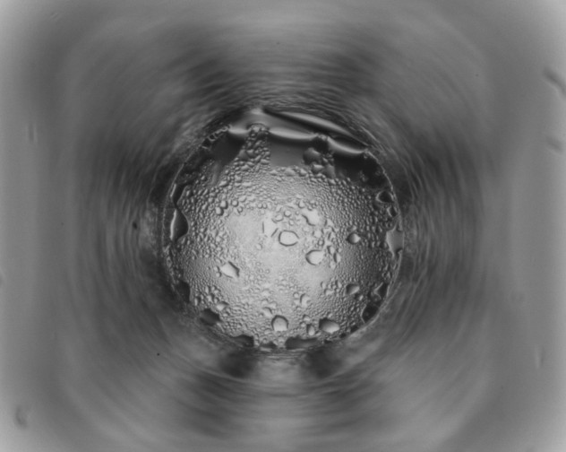 X0000091310175200708171424