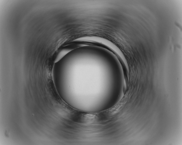 X0000091310176200708171424